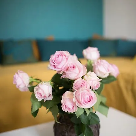 Appartement Le A Pied Et Son Parking Prive *